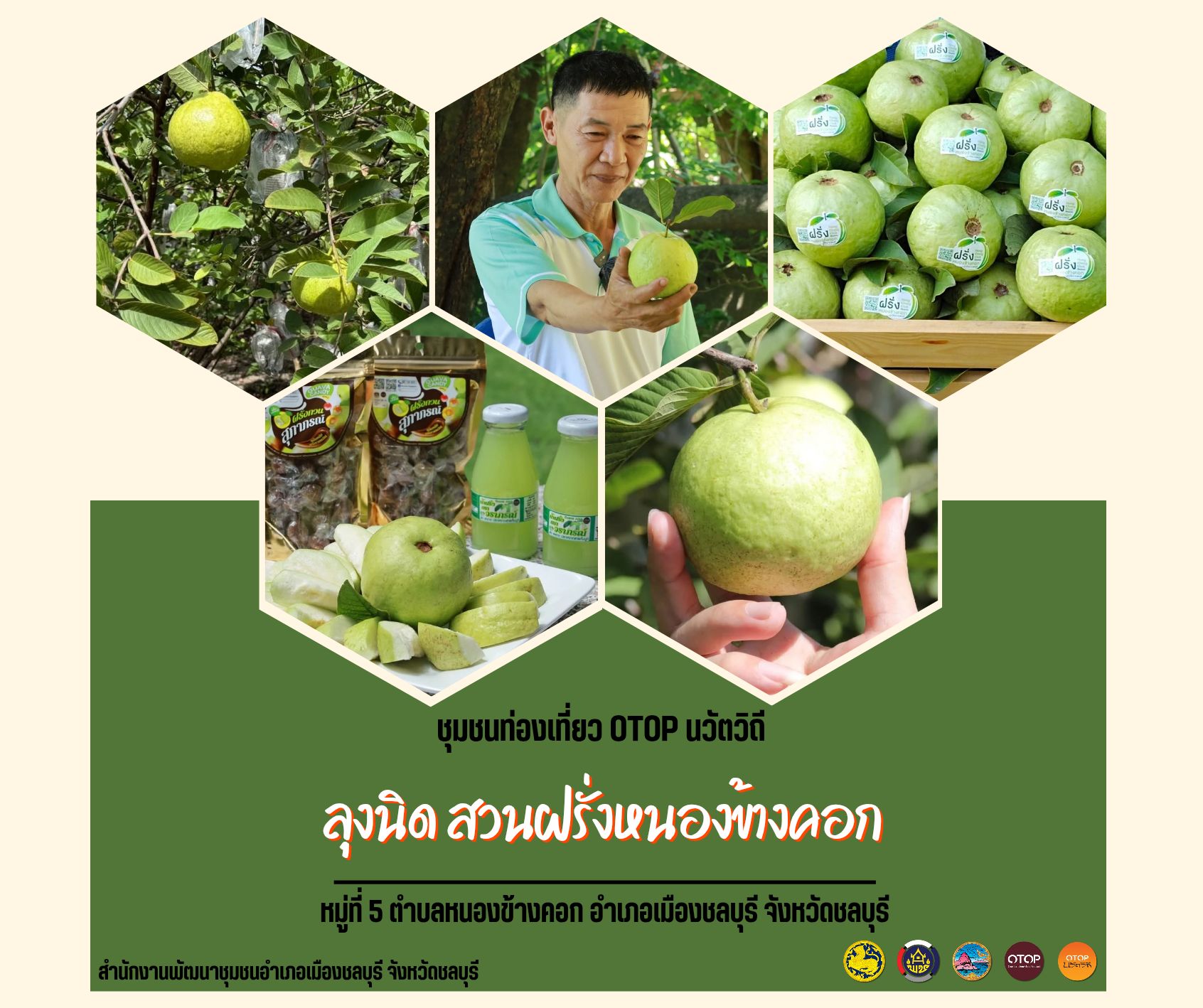 ชุมชนท่องเที่ยว OTOP นวัตวิถี บ้านสวนมะพร้าว หนองข้างคอก "ลุงนิด สวนฝรั่งหนองข้างคอก"